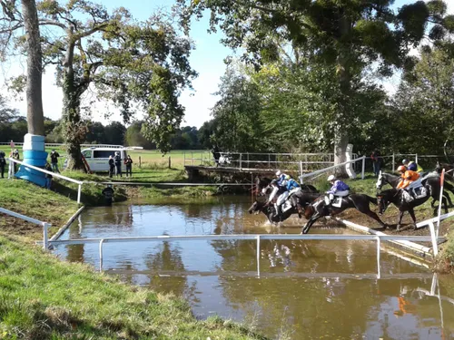 Hippisme : nos préférés pour ce dimanche 10 octobre
